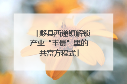 黟县西递镇解锁产业“丰景”里的共富方程式